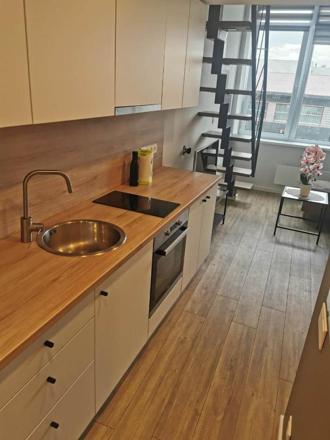Apartamento Lofto Tipo 2 Kambariu Butas Kaunas Exterior foto